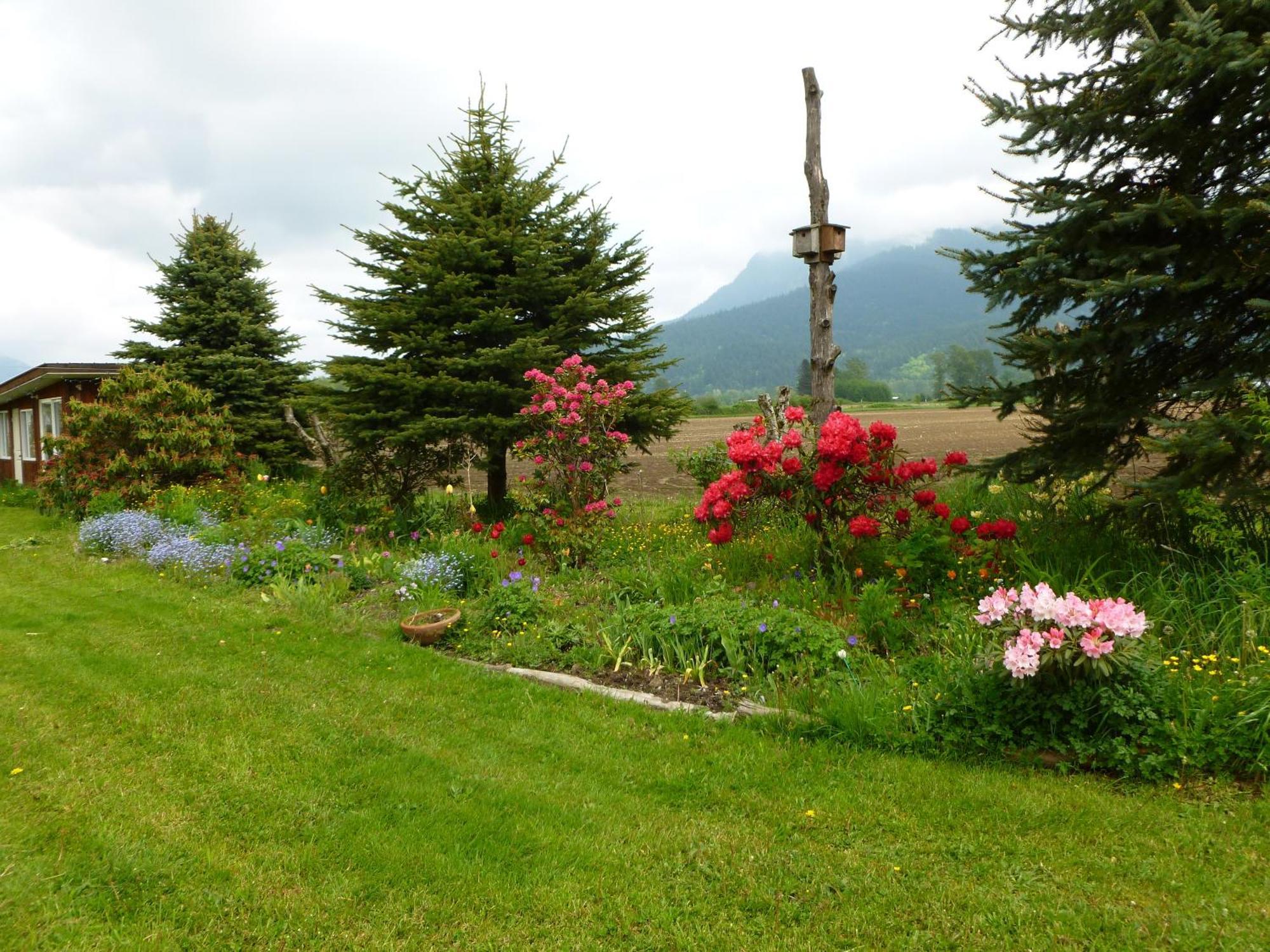 Harrison Hammond House Farmstay Harrison Mills Buitenkant foto