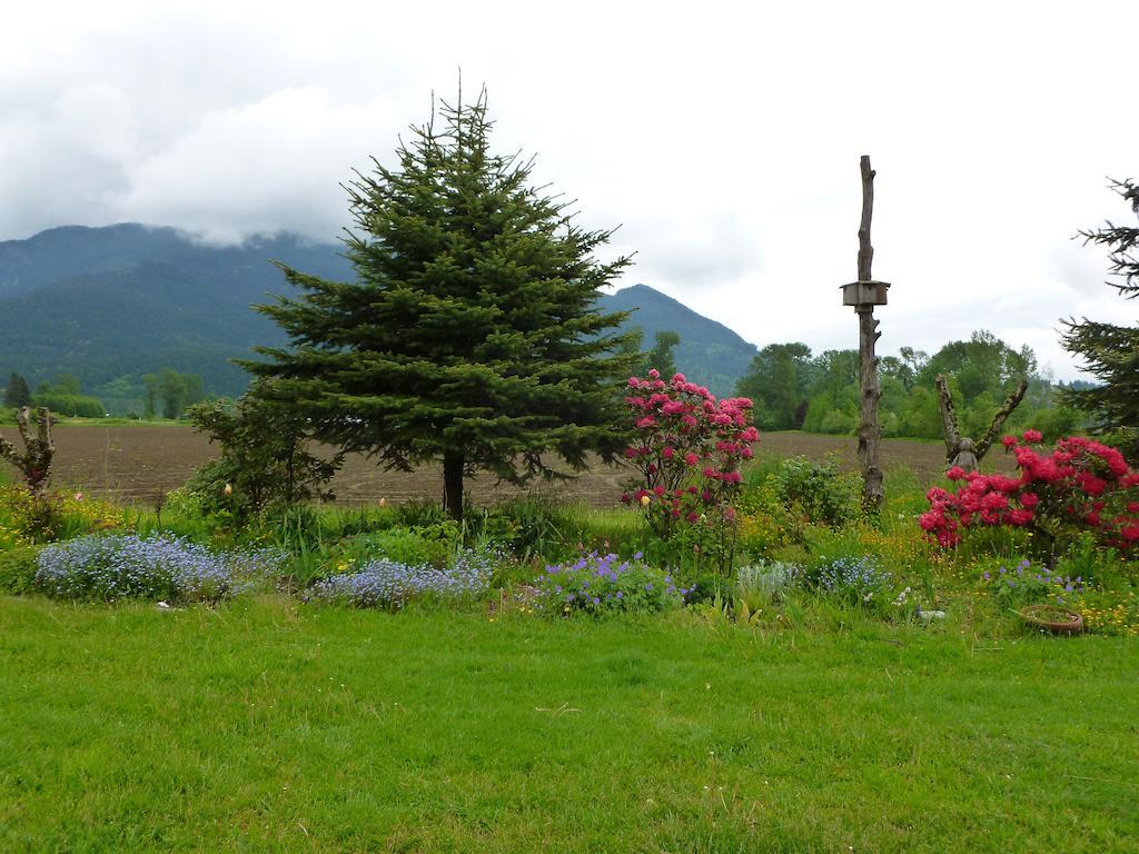 Harrison Hammond House Farmstay Harrison Mills Buitenkant foto